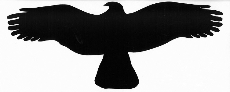 Samolepka dravec Promistry.cz